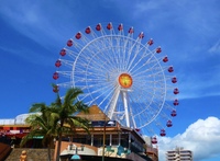 【参加費無料！】テーマパーク好き集まれ🎡オンライン飲み会🍻ノンアルも歓迎🍹