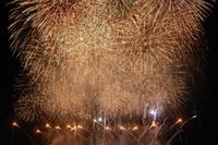 【早割中】【夏の思い出作りに♪】 手持ち花火しましょう😄