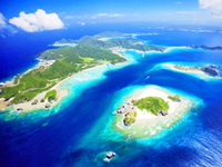 2022年4月22日（金）～24（日）渡嘉敷島ダイビング旅行
