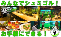 女性に大人気！ 日焼けの心配なし☆ゴルフを始めたいならこれ！室内で楽しめるシミュレーションゴルフ☆★