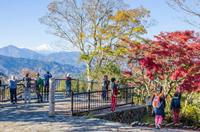 紅葉の高尾山でまったりハイキング！※雨天時はカフェ巡りとトリックアートです！