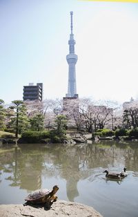 「隅田公園でピクニックしよう！雨なので浅草散策&カフェ会になります」