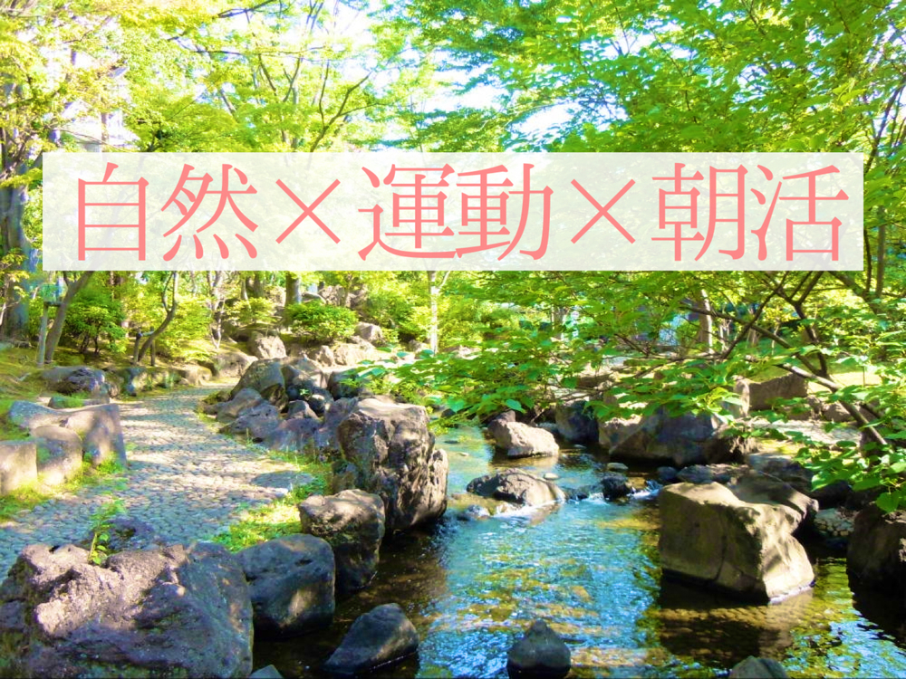 【心地よい朝ウォーキング】大横川親水公園(墨田区)【所要時間30分】