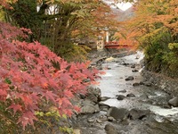 11/6-7 寒くなる前の道志村キャンプ(現在13名)