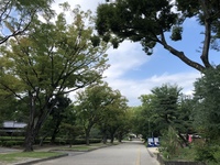 【人生のきっかけづくり】鶴舞公園で「最近のわたし」について語り合おう