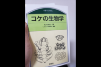 【オンライン】ゆるく朝活はじめよう♪【王道の読書】