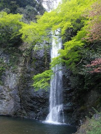 【10代,20代限定】箕面旅！！