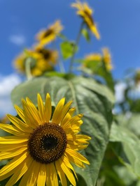 【ブラリ途中下車の旅】所沢駅プロペ通りを歩いてお食事会