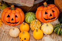 【ハロウィンお菓子パーティー🎃🍭】25名参加確定☆