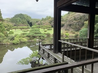 【20代前半にオススメ♪】清澄庭園で紅葉を楽しもう！！