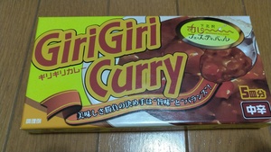 【平成生まれ限定】カレーで遊んで、カレーを作ろう！