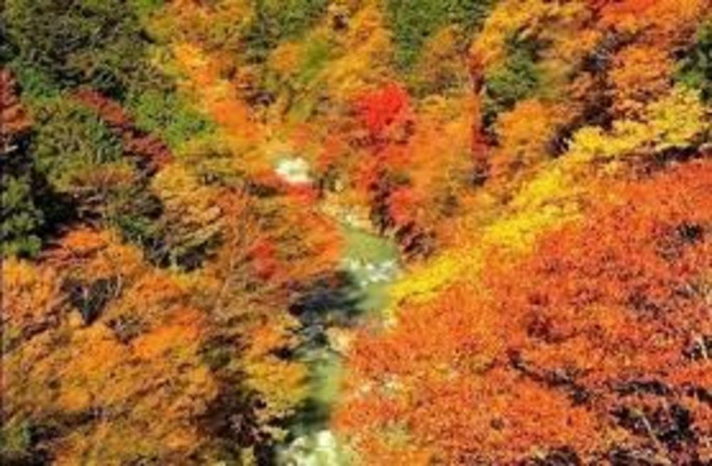 「紅葉を見に秋川渓谷へ行こう！早割中」