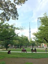スカイツリーが見える公園で夜のピクニック！👬
人狼とか暗闇ならではの遊びをしよう！🌗💫