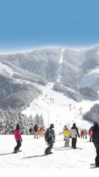 12月30日（木）苗場スキー場【日帰り】