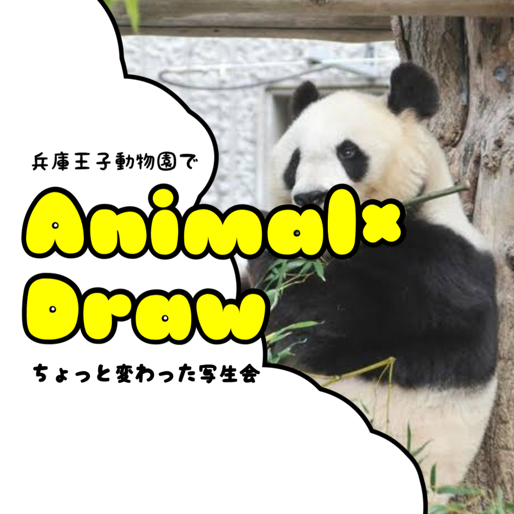 【ANIMAL×DRAW】第二回！兵庫王子動物園にてちょっと変わった写生会を開催します！