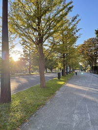⭐️タイムセール⭐️【朝活】都会の朝散歩で1日のスタートダッシュを！！皇居外周散策ウォーキング🌿☀️　