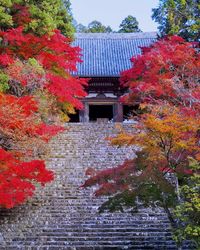 紅葉の神護寺&保津峡ハイキング
