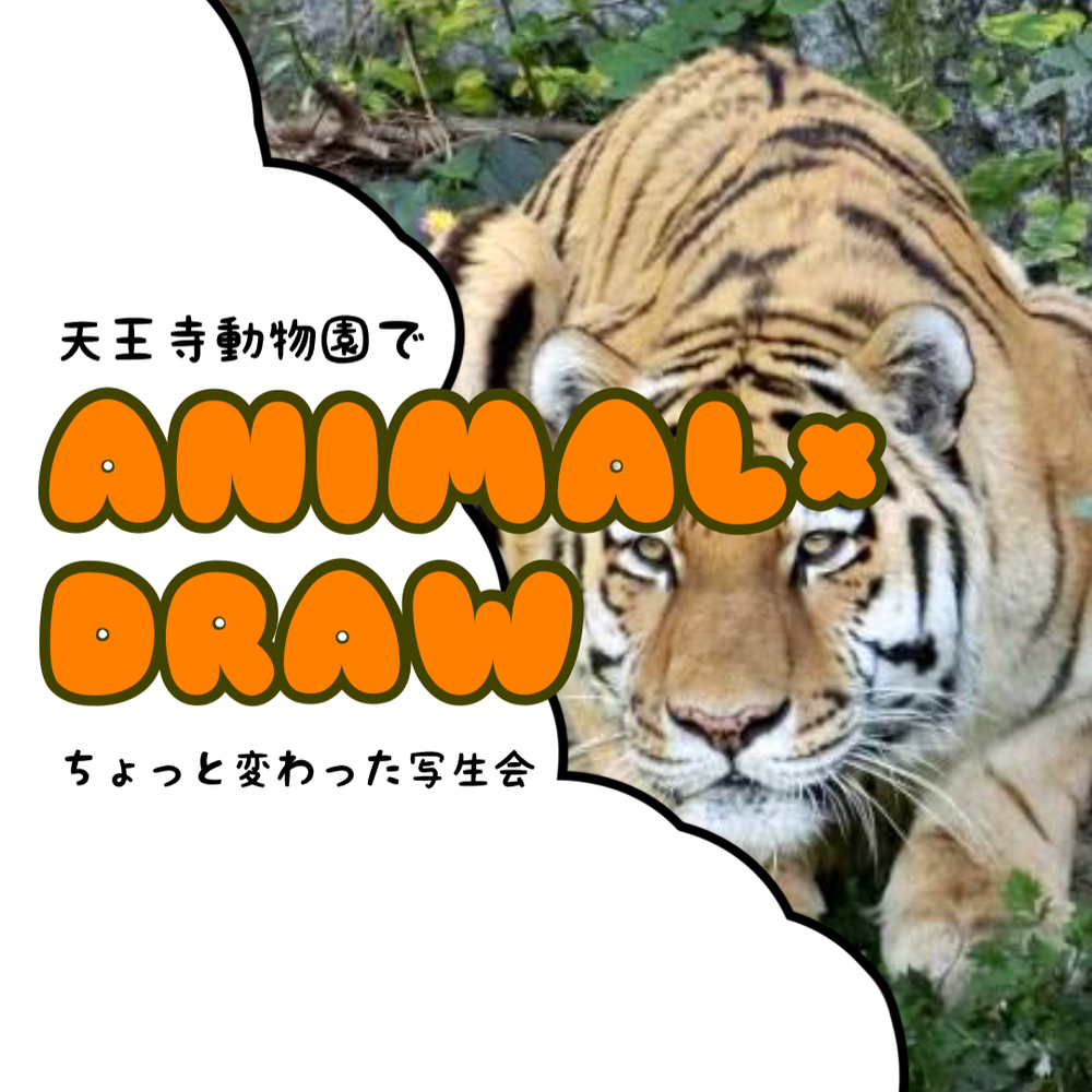【ANIMAL×DRAW】第三回！大阪天王寺動物園にてちょっと変わった写生会を開催します！