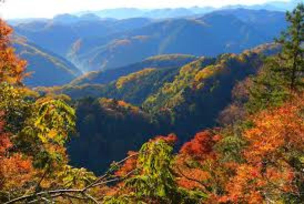 【カメライベント】高尾山へ、紅葉を求めてフォトウォーク