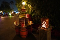 ディズニー好き集まれ！！ディズニー仲間を作ろう♡Roa Disney♡ZOOM飲み会