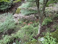 【初級者向け】カゲノブ山に登ろうぜ卍卍【富士山PG①】