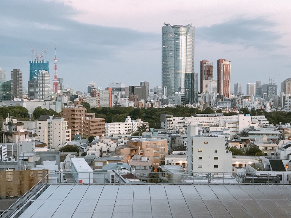 【神宮外苑ランニング】港区の紅葉の中をナイトランしましょう！