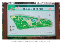 王子の飛鳥山公園。散策、撮影しませんか？
終わりましたら呑み、お茶など出来る方しませんか？