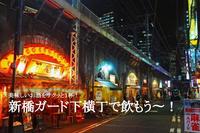 【＃新橋で飲み会しようぜっ！】サクッと一杯！安くてうまい！新橋でガード下飲みしよう！
