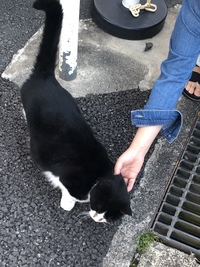 お茶しながらトランプ・花札会♪【気晴らし会】