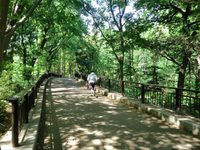 ゆる〜り皇居ランニング🎵
サクッと体を動かしましょう！