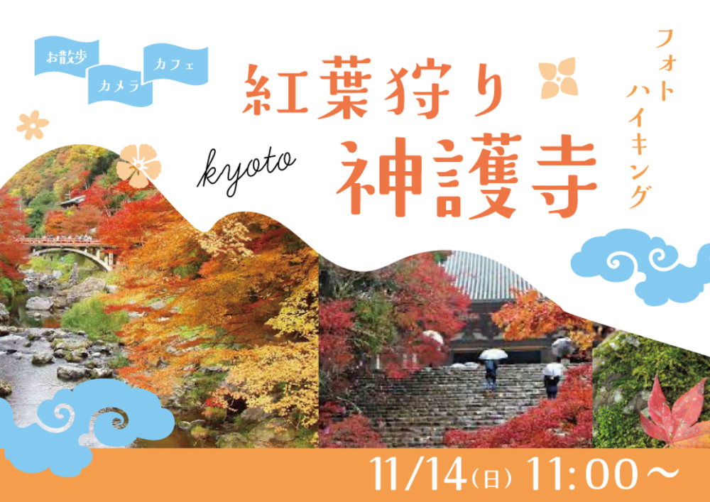 一度は見たい京都の絶景✨🍁高雄神護寺で紅葉狩りフォトウォーク✨