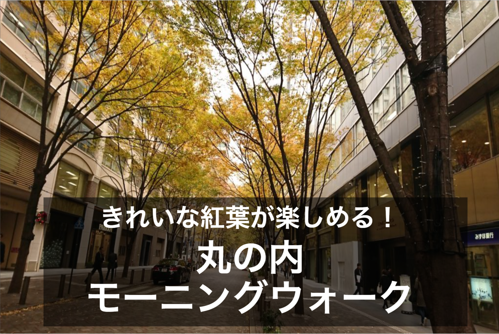 祝日開催！【丸の内×モーニングウォーク！】きれいに色づいた紅葉を見ながら丸の内周辺を歩こう！