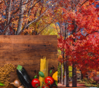 築地秋まつり2021 大感謝祭 秋の味覚大放出！食べ歩き散歩会　