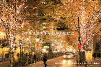 東京駅丸の内イルミネーション撮影会