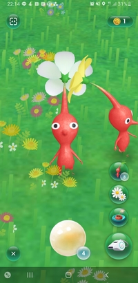 一緒にピクミンしてお花咲かせよう！in日比谷
