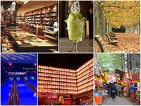 11/21(日) あにおた○○の秋🍁