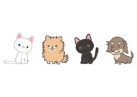 【参加費無料】あなたはどっち派🐶多数派どっちゲーム🐱