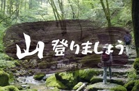 御岳山登りましょう！神社も行くよ！自然好き集まれ！