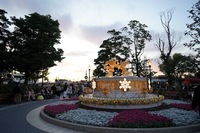 ディズニー好き集まれ！！ディズニー仲間を作ろう♡Roa Disney♡ZOOM飲み会