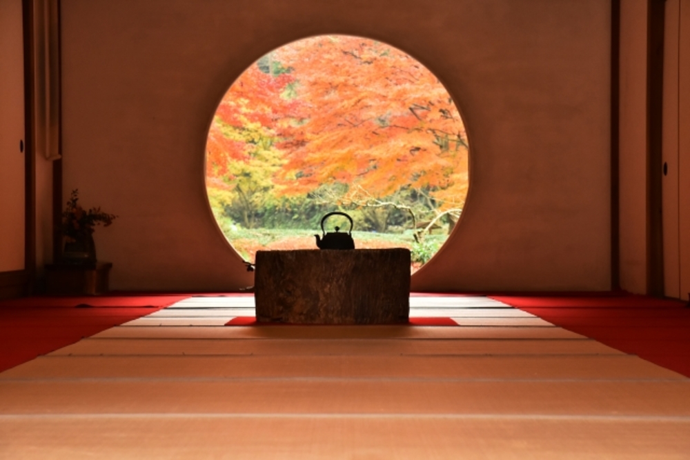 【ゆったりお散歩写真】古都鎌倉、紅葉めぐり写真散歩&カフェ探訪