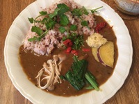 【下町ランチ会】谷中で薬膳カレーを食べてみんなで健康になろう！