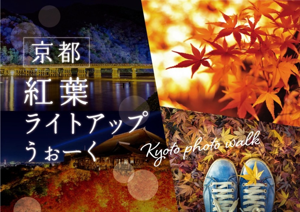 【京都×夜photo】月夜に浮かぶ五重塔✨絶景！東寺ライトアップ行きませんか？