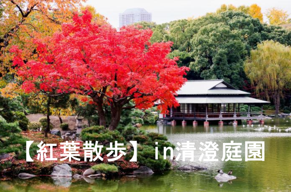 【紅葉散歩】清澄庭園　美しい紅葉と日本庭園を一緒に楽しみませんか？
