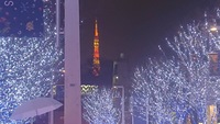【平均年齢24歳♪】六本木にイルミネーションを見に行こう☆