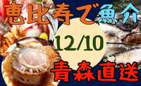 産地直送！！恵比寿グルメ会！日本酒、魚介、海の幸を楽しも～☆彡恵比寿を楽しもう♪