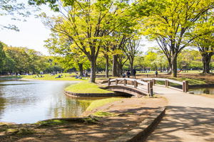 代々木公園で朝散歩しましょう～！