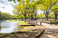 代々木公園で朝散歩しましょう～！