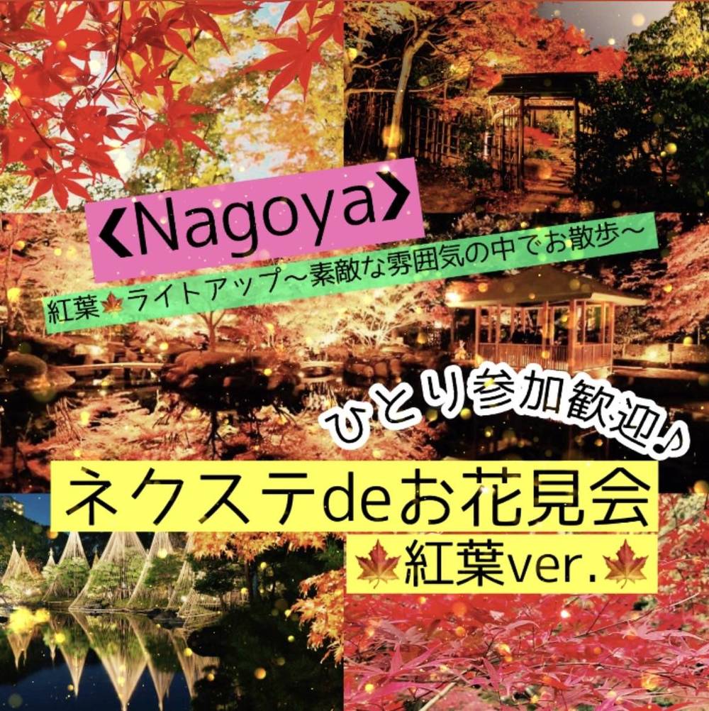 12/11 (土曜)【名古屋～熱田】毎月開催の12月はもみじ祭り☆白鳥庭園にてライトアップを満喫♪【ネクステdeお花見会】