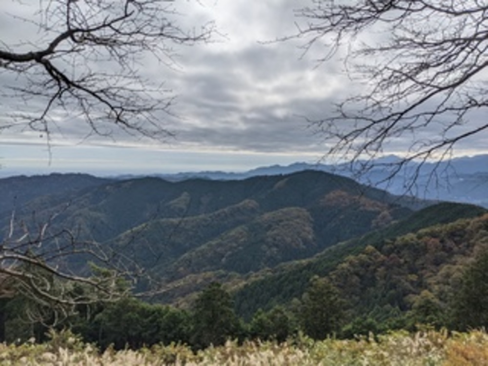 【初級者向け】クリスマスとかねえから大岳山登ろうぜ【富士山PG②】