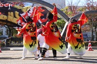 12/12 よさこい体験会🕺　※お気軽にお問合せ✉️下さい💡